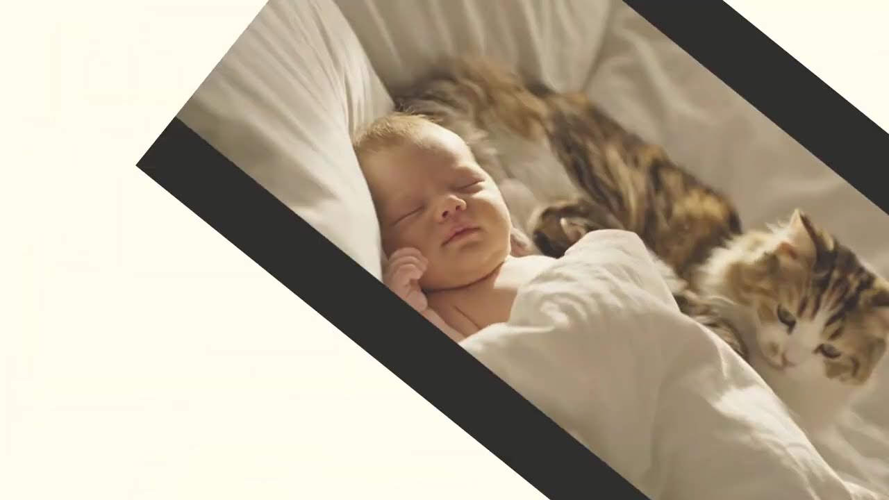 So Sweet! Mama Cat Places Her Kitten Next to Sleeping Baby 🐱👶