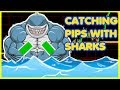 SHARK FIN SYSTEM [ MADE FOR TRADING ] - YouTube
