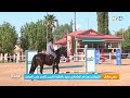بني ملال الليوتنان هشام العثماني يفوز بالجائزة الكبرى للقفز على الحواجز