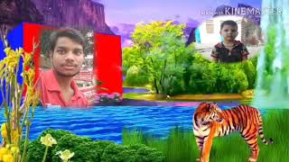 Widding green screen background