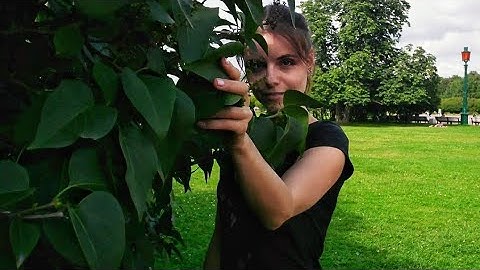 Taras and Anna Huliaieva. #Zouk improvisation. #