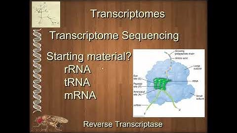 BIOL6330 Unit 3 1 1 Intro to Transcriptomes