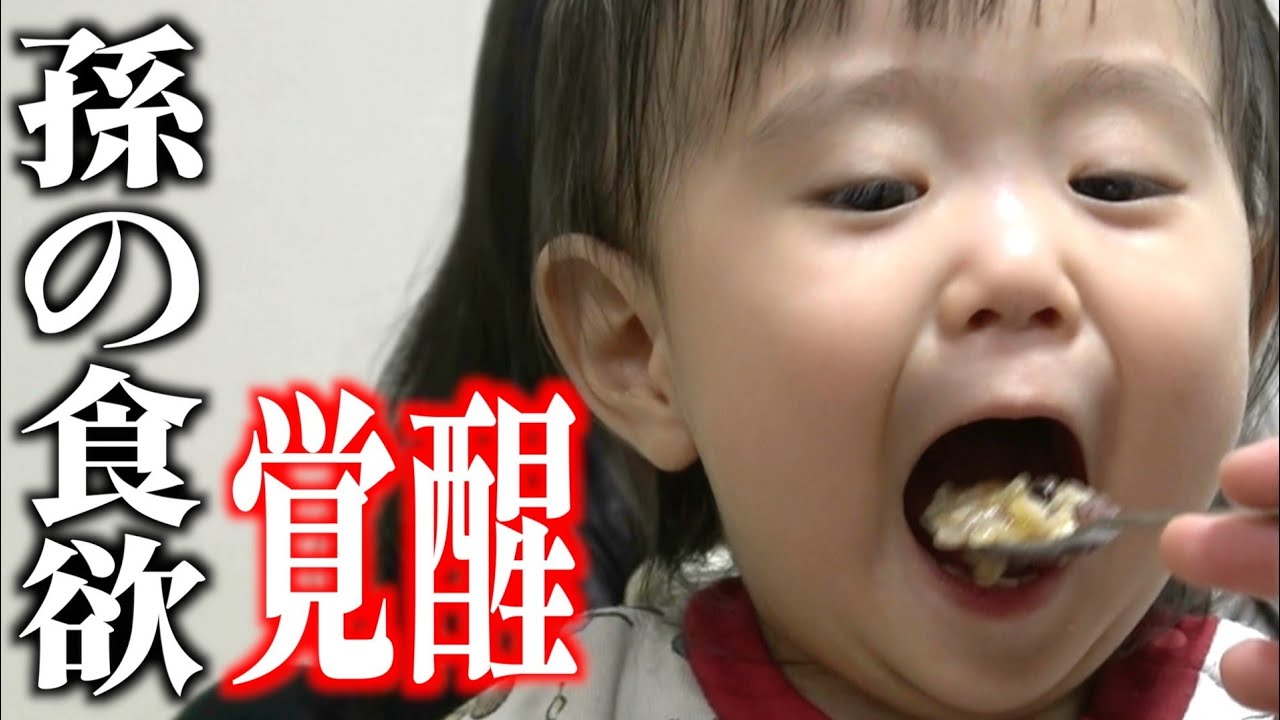 【幸せ時間】お口全開！小さな爆食いモンスターのごはんタイム🍚♥️