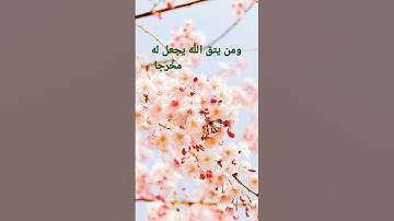 القرآن الكريم/بصوت الحاج عامر الكاظمي/اللهم صل وسلم على نبينا محمد