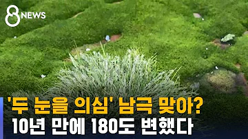 초원과 냇물 여기가 남극 맞아 바다에서도 이상 징후 SBS 8뉴스