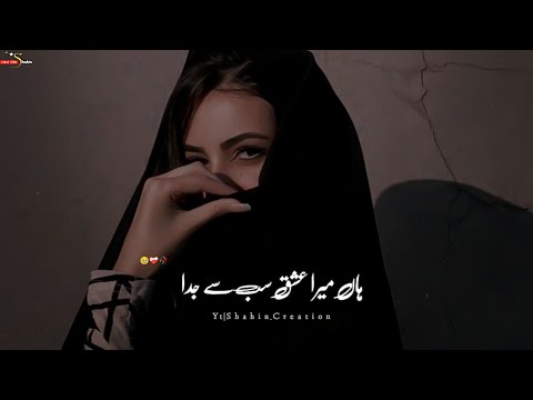 Noor e Jahan Aur Noor e Mohabbat💕Ishq Murshid Ost Status 💞||#Shahin_Creation