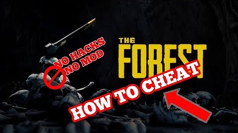 How to cheat without mod/hacks in "The Forest"