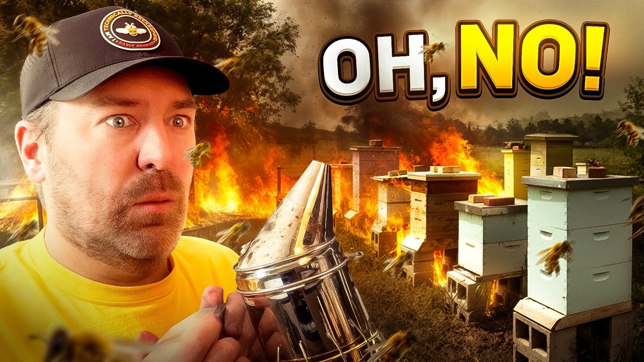 This Is Why Fire Risk Matters in Beekeeping