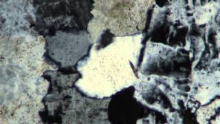 32-Undulatory extinction_xpl_10x