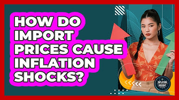 How Do Import Prices Cause Inflation Shocks? - Inflation Insight Channel