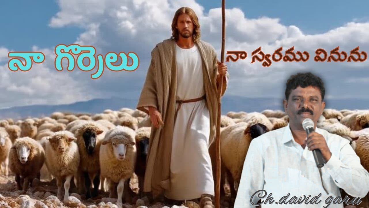//నా గొర్రెలు నా స్వరము వినును //Rev.Ch.David Garu