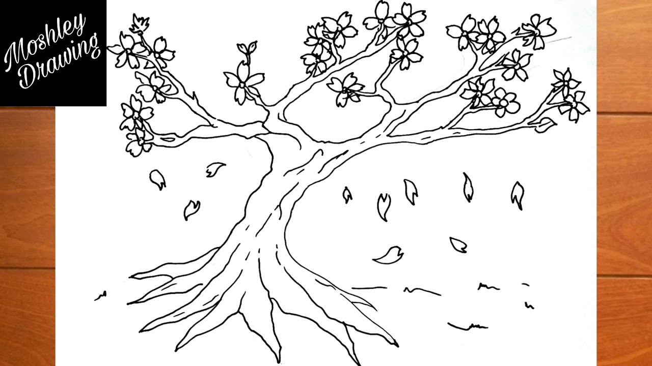 How to Draw a Cherry Blossom Tree - YouTube