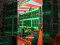 Jb Professional Roadshow In Bhadrak Ramnavami 2025