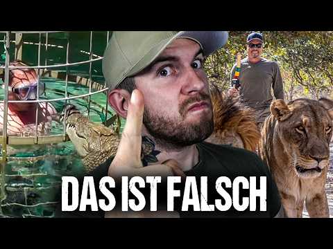 Wilde RAUBTIERE als TOURISTEN-Attraktion – was läuft hier falsch? | KUNI reagiert