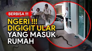 NGERI !!! Digigit Ular yang Masuk Rumah | Snake Caught On Cameras | Rekaman CCTV