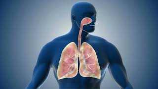 Diaphragmatic Breathing Morphic Field - 16, 5.35 & 2.5Hz Isochronic Tones - Diaphragm Chakra Healing screenshot 2