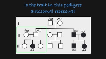 Autosomal Recessive Traits in a Pedigree
