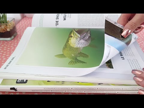 ASMR Page Turning and Soft Page Squeezing Through Magazines • No Talking