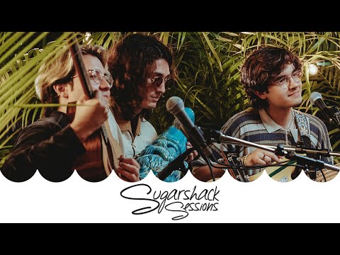 The Polar Boys - Obvious  (Live Music) | Sugarshack Sessions