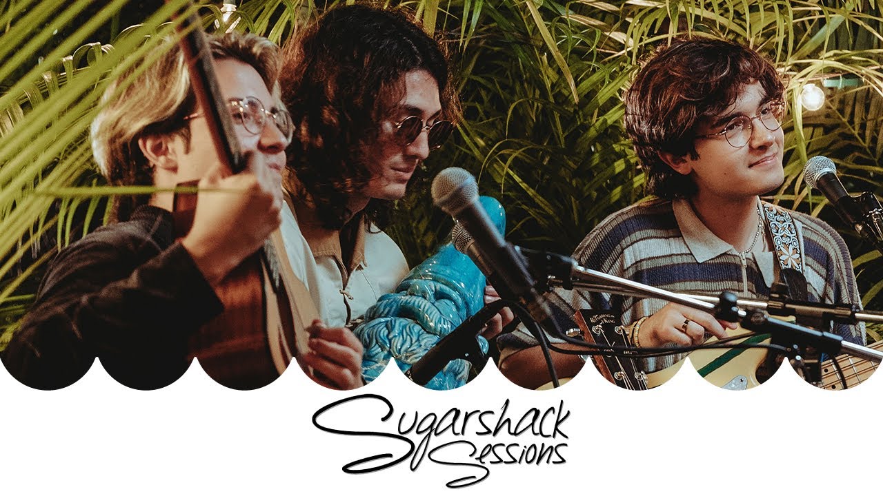The Polar Boys - Obvious  (Live Music) | Sugarshack Sessions