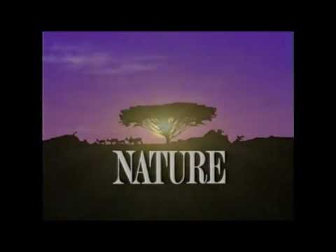 Nature Intros (1982-2015)