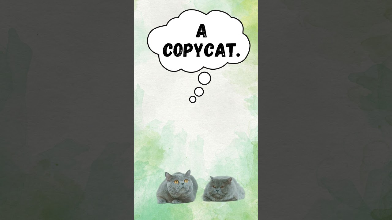 02  Fur-tastic Cat Puns: Paws, Laughs, and Whiskers!