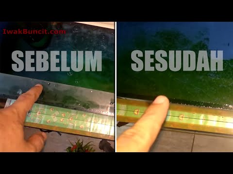 Semoga bahagia n sehat selalu buat semuanya,terimakasih buat yg sudah subcribe like n share video in. 