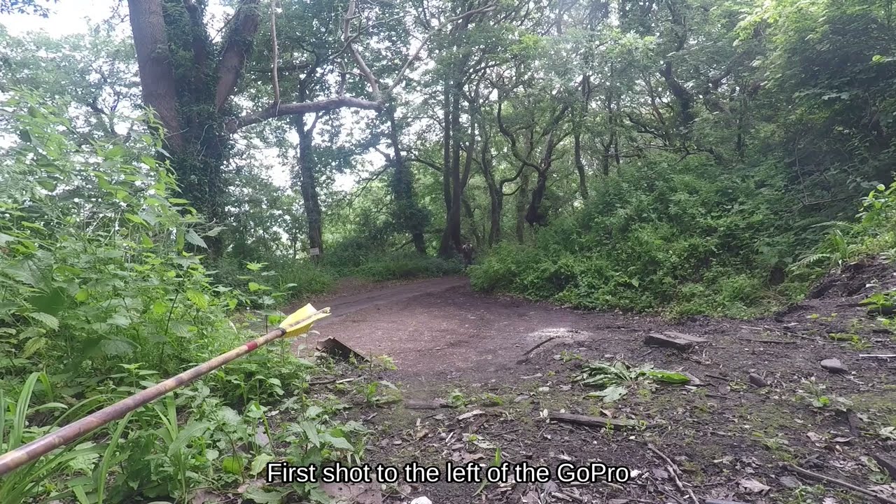 Archery - Can You Dodge an Incoming Arrow @30yds?