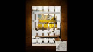 Rustic Cottage Landscape Frame TV Art, Countryside Yellow Rapeseed Field TV Art, Autumn Wall Deco...