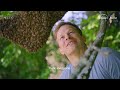 Secrets of the Bees | Official Trailer | Narrated by Bertie Gregory | National Geographic