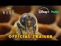 Secrets Of The Bees Official Trailer Narrated By Bertie Gregory National Geographic