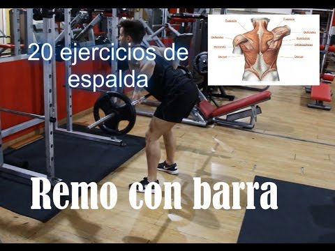 Los 20 ejercicios de espalda que más se trabajan en el gimnasio - YouTube