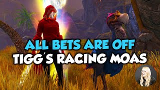 GW2 All Bets Are Off Achievement (Tigg's Racing Moas)