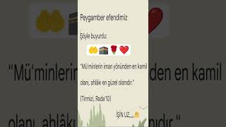 #peygamberefendimiz #ahlak #güzelsözler #islam #viral #islamic #hzmuhammed #trending #aşk #shorts