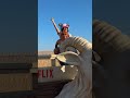 【LIVE-ACTION/実写】WORLD PREMIER in LA/ワールドプレミア映像到着‼️ #ONEPIECE #Netflix#shorts