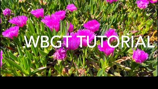 WBGT Wet Bulb Globe Temperature gauge training video