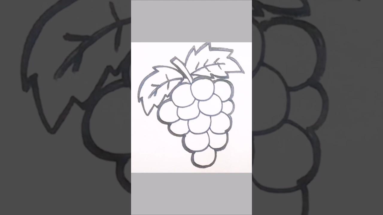 Grapes 🍇Drawing for kids 