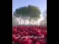 اللهم صل على محمد عدد ماذكره الذاكرون وعدد ماغفل عنه الغافلون  mp3
