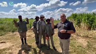 World Earth Day | Caring for the Land That Cares for the Herd 🐘🌍