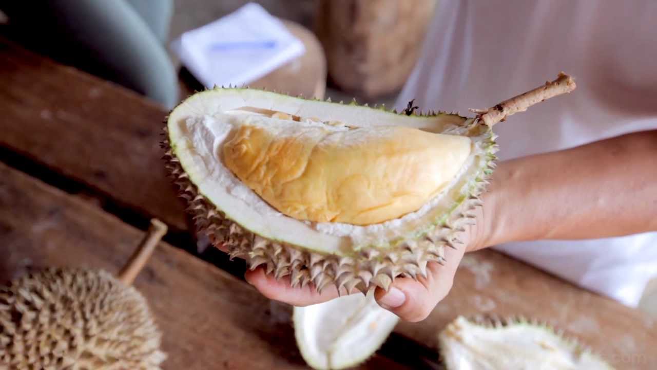 Travel Malaysia - Eating Durian In Penang - YouTube