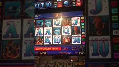 Jocuri Aparate Dolphins Pearl Slot Jocuri Aparate Dolphins Pearl Slot
