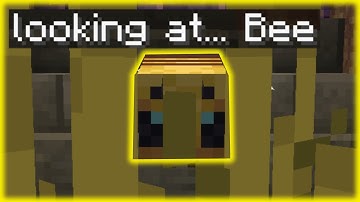 Looking At Predicate Tutorial