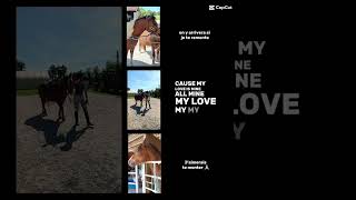 mbb 💞 #horse #equestrian #horseriding  #cheval