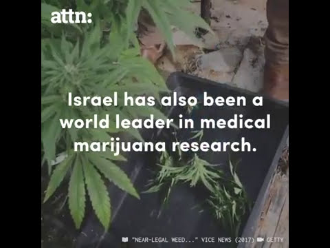 Israel Decriminalized Marijuana - მარიხუანა დეკრიმინალიზაცია