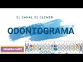 Odontograma - 📝🎨🦷 Primera parte