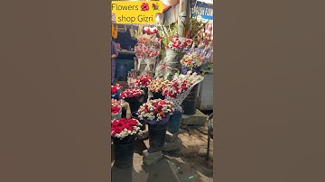 Bought this beautiful bouquet 💐 from gizri flower shop | 🌹 Rose bouquet ♥️