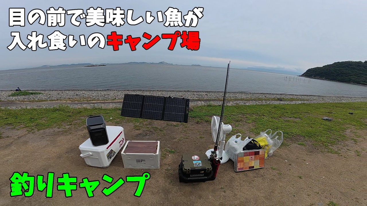 【釣りキャンプ】目の前海で入れ食いのキャンプ場がヤバすぎた!【EcoFlow DELTA 3 CLASSIC】