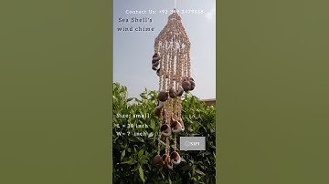 sea shells attractive windchime #ytshorts #short #windchime