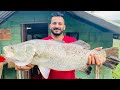 ഇത്രേം വലുത്‌ തീരെ പ്രതീക്ഷിച്ചില്ല.. | Fishing | പരുന്തിനേ വളർത്താമോ???