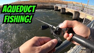 I Ran Into A School of Stripers!! | CA Aqueduct Fishing | Delta Mendota Canal | Iu Mien Fishing screenshot 3